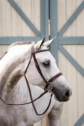 Dy'on US Hunter Collection Wide Noseband Hunter Bridle